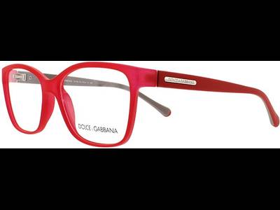 Dolce & Gabbana DG5008 2818