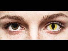 Yellow Cat Eye Contact Lenses - ColourVue Crazy (2 coloured lenses)