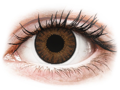 Brown contact lenses - Power - TopVue Color (10 daily coloured lenses)