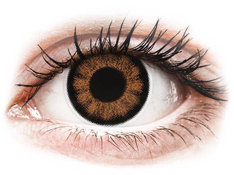 Sexy Brown Contact Lenses - ColourVue BigEyes (2 coloured lenses)