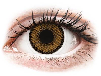 Brown India contact lenses - SofLens Natural Colors (2 monthly coloured lenses)