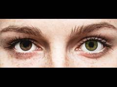 Green contact lenses - FreshLook ColorBlends - Power (2 monthly coloured lenses)