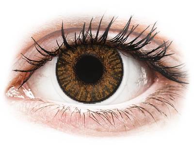 Brown Honey contact lenses - FreshLook ColorBlends - Power
