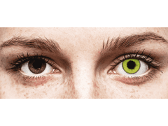 TopVue Daily Color - Fresh Green - power (2 daily coloured lenses)