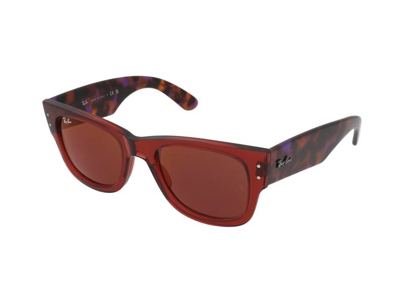 Ray ban on sale homme wayfarer