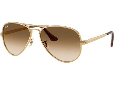 Ray-Ban Aviator Max RB3925 001/51